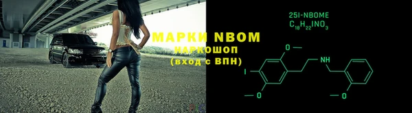 ешки Аркадак