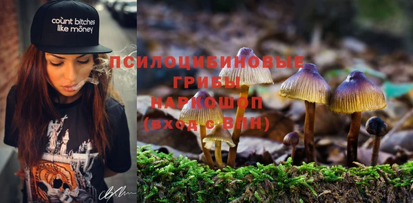 прущая мука Армянск