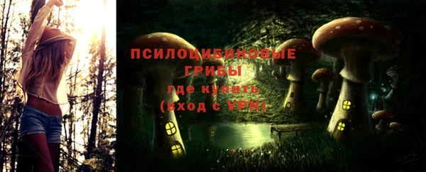 бутират Баксан