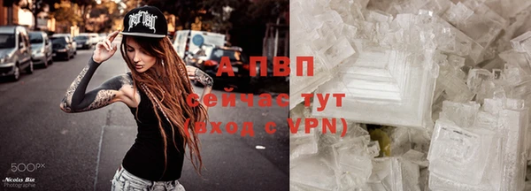стаф Балахна