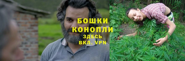 ешки Аркадак